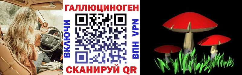 где продают   Нея  Псилоцибиновые грибы Cubensis 