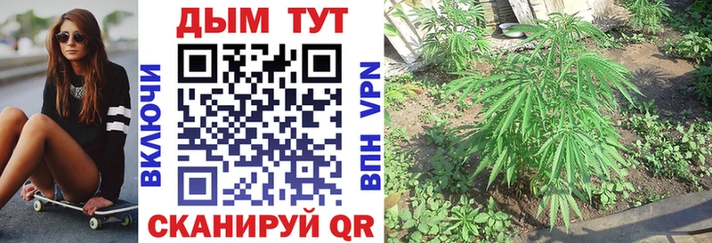 площадка Telegram  купить наркотики цена  Нея  МАРИХУАНА планчик 